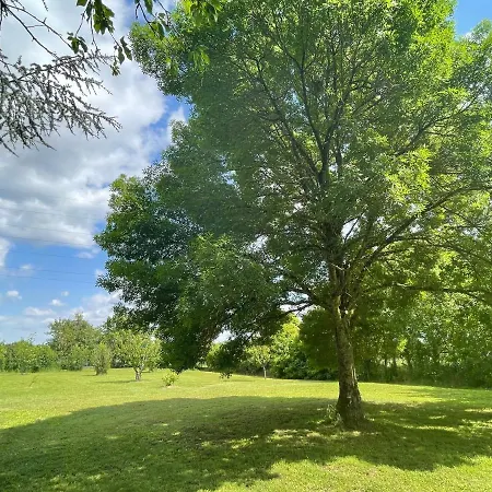 Les Hauts De Beillard 3* Merville (Haute-Garonne)